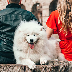 Stocking Your Restaurant Kitchen Finding Reliable Sellers